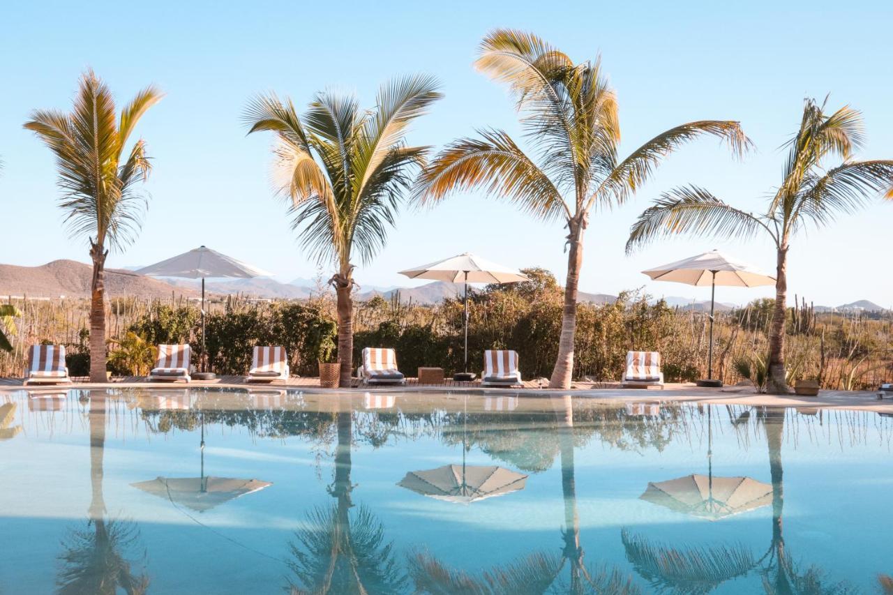 Baja Nomads Hotel - Adults 15 Plus Todos Santos Zewnętrze zdjęcie